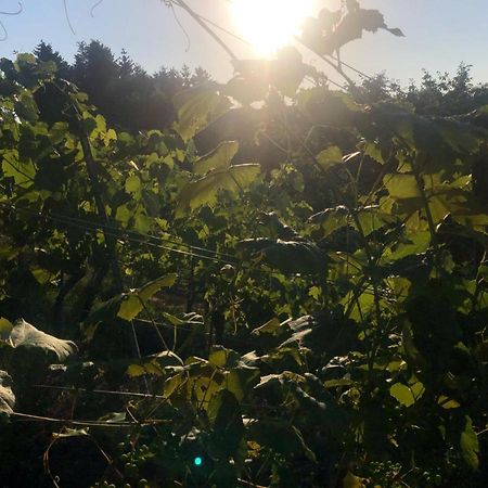 Apartamento Winzerhaeuschen Kern Fehring Exterior foto